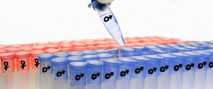 Photo Illustration of Genetic Selection of Sex