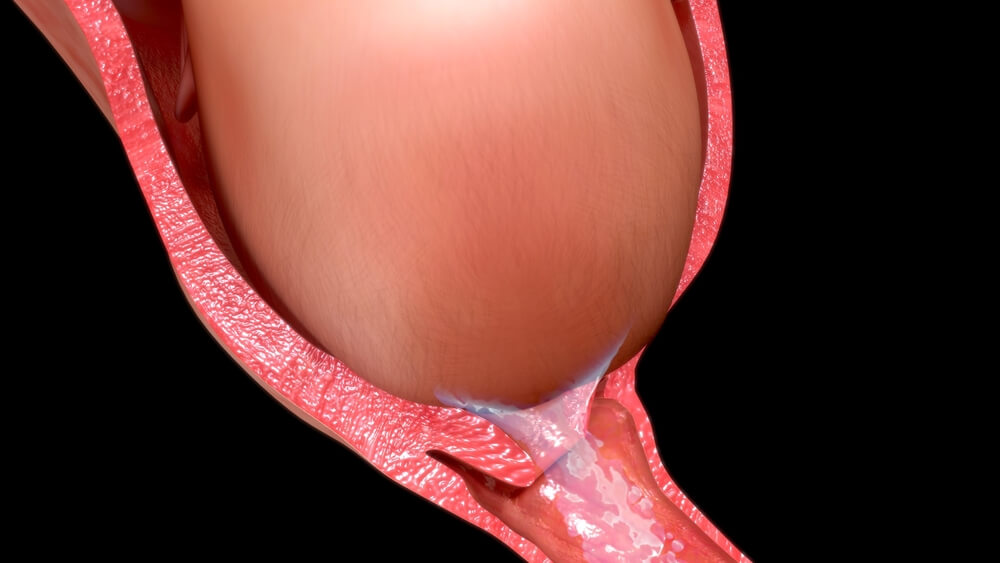 nisan-gelmesi-2