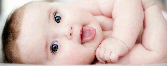tup bebek (4)